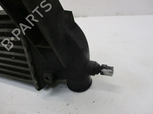 Intercooler FORD TRANSIT CONNECT (P65_, P70_, P80_) 1.8 TDCi | BP18803260M30 