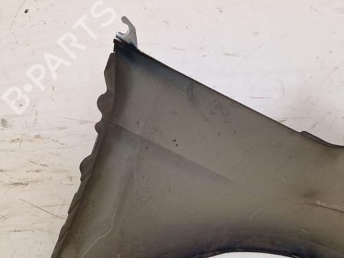 Left front fenders FORD GALAXY II (WA6) 2.0 TDCi | BP29106125C41
