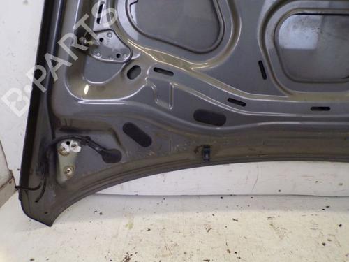 Hood VW TOUAREG (7LA, 7L6, 7L7) 3.6 V6 FSI | BP29090500C1 
