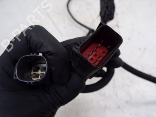 Wiring harness CHRYSLER GRAND VOYAGER V (RT) 3.6 | BP28307390E16 