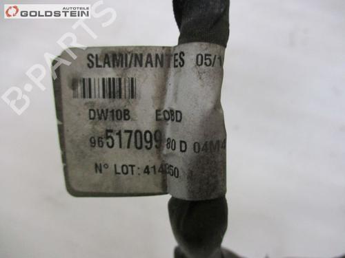 Cable FORD S-MAX (WA6) 2.0 TDCi | BP18755879E12 