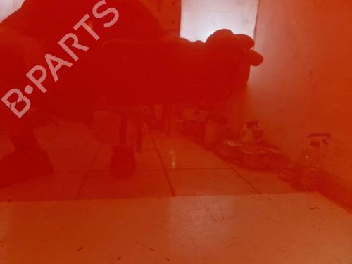 Left front door FIAT PUNTO EVO (199_) 1.3 D Multijet | BP29107936C2
