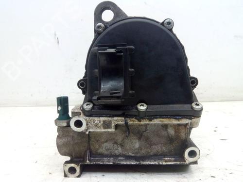 Cylinder head VW CADDY III MPV (2KB, 2KJ, 2CB, 2CJ) 1.2 TSI | BP30194317M5 