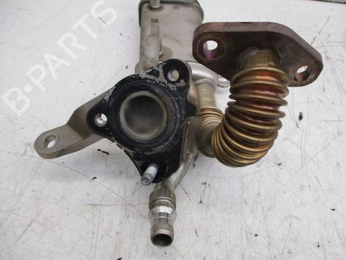 Egr RENAULT KANGOO / GRAND KANGOO II (KW0/1_) 1.5 dCi 90 (KW05, KW08, KW0G, KW11) | BP29091973M69 