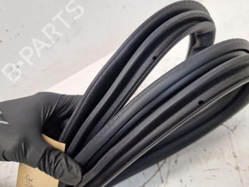 Rubber door seal BMW X5 (G05, F95) xDrive 40 i Mild-Hybrid | BP29108994C142 