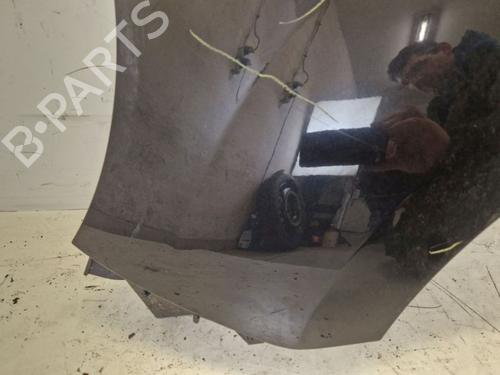 Left front fenders RENAULT KANGOO Express (FW0/1_) 1.5 dCi 90 (FW0G, FW05, FW08, FW11) | BP25826459C41 