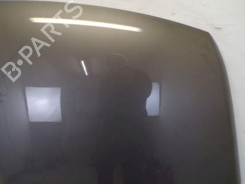 Hood VW TOUAREG (7LA, 7L6, 7L7) 3.6 V6 FSI | BP29090500C1 