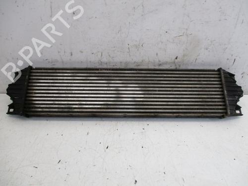 Used Intercooler NISSAN INTERSTAR Van (X70) dCi 100 (99 hp) 29090745