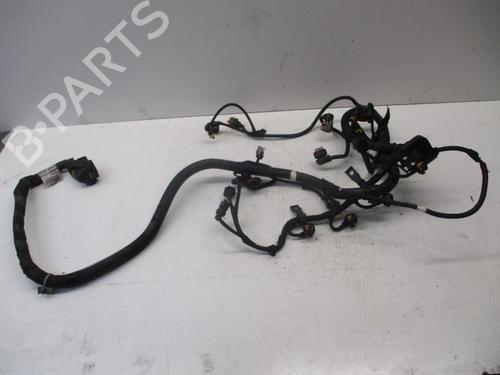 Wiring harness OPEL VECTRA C Estate (Z02) 1.9 CDTI (F35) | BP24133450E16 