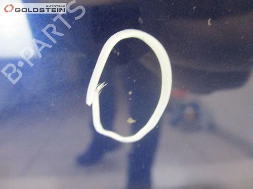 Hood RENAULT CLIO III (BR0/1, CR0/1) 1.2 16V (BR02, BR0J, BR11, CR02, CR0J, CR11) | BP18755911C1 