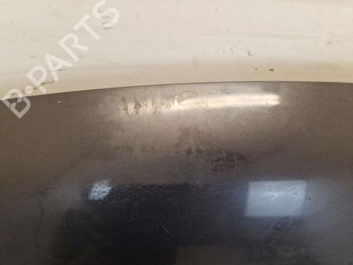 Hood SUZUKI GRAND VITARA II (JT, TE, TD) 1.9 DDiS All-wheel Drive (JT419, TD44, JB419WD, JB419XD,... | BP29107214C1 