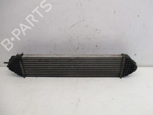 Intercooler FORD KUGA II (DM2) 1.6 EcoBoost 4x4 | BP29087835M30 