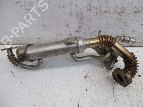 Egr RENAULT KANGOO / GRAND KANGOO II (KW0/1_) 1.5 dCi 90 (KW05, KW08, KW0G, KW11) | BP29091973M69 