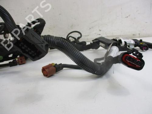 Wiring harness OPEL INSIGNIA A (G09) 2.0 CDTI (68) | BP30085003E16 
