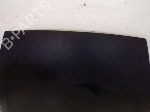 Hood FIAT GRANDE PUNTO (199_) 1.2 | BP29090468C1 