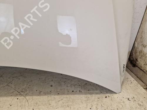 Hood VW TIGUAN (5N_) 2.0 TDI 4motion | BP29105054C1 