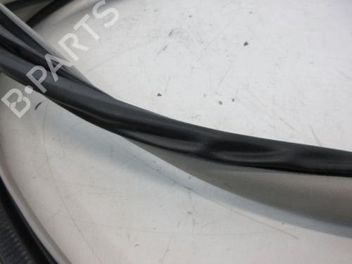 Rubber door seal TOYOTA PRIUS (_W3_) 1.8 Hybrid (ZVW3_) | BP29097055C142 