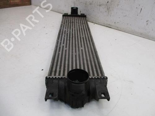 Intercooler NISSAN INTERSTAR Van (X70) dCi 100 | BP37125228M30 - Image 5