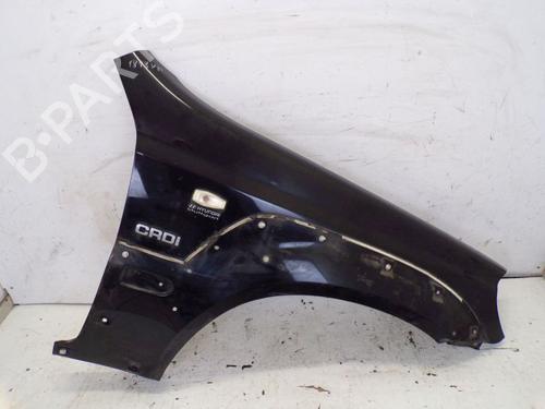 Used Right front fenders HYUNDAI TERRACAN (HP) 2.9 CRDi 4WD (163 hp) 30668279