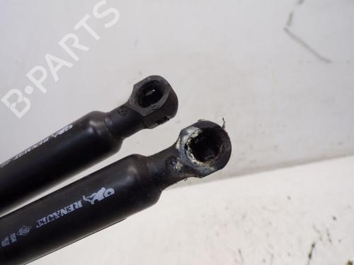 Tailgate lift support RENAULT ZOE (BFM_) ZOE | BP29099157C138 