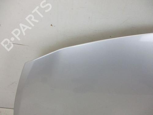 Hood RENAULT CLIO III (BR0/1, CR0/1) 1.2 16V (BR02, BR0J, BR11, CR02, CR0J, CR11) | BP18797203C1 