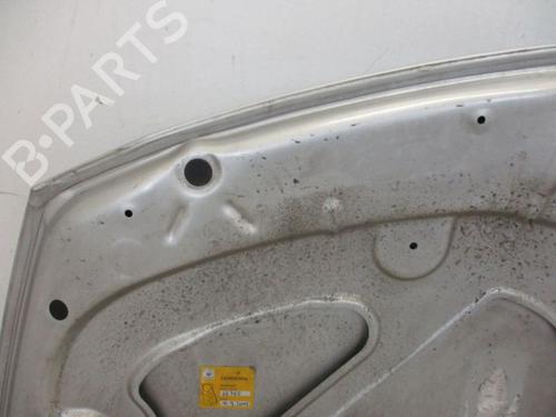 Hood RENAULT CLIO III (BR0/1, CR0/1) 1.2 16V (BR02, BR0J, BR11, CR02, CR0J, CR11) | BP18797203C1 