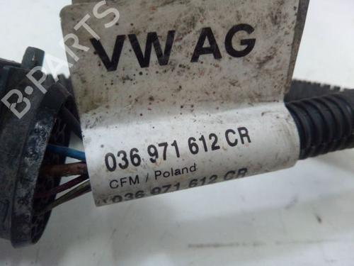 Wiring harness VW POLO V (6R1, 6C1) 1.4 (6R1) | BP31703134E16 
