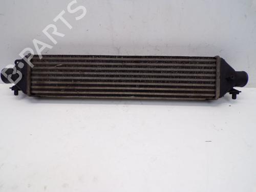 Used Intercooler FIAT BRAVO II (198_) 1.6 D Multijet (198AXH1B) (105 hp) 29084959