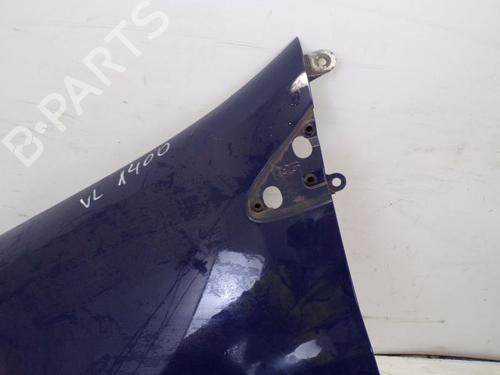 Left front fenders RENAULT CLIO III (BR0/1, CR0/1) 1.2 16V (BR02, BR0J, BR11, CR02, CR0J, CR11) | BP18798903C41 