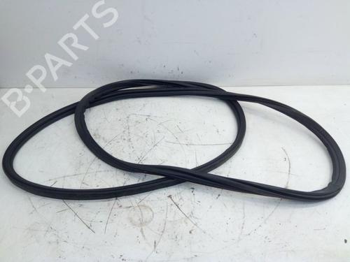 Used Rubber door seal BMW X5 (G05, F95) xDrive 40 i Mild-Hybrid (381 hp) 29108914