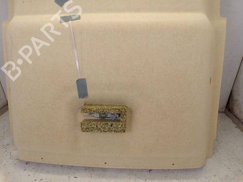 Interior roof RENAULT KANGOO / GRAND KANGOO II (KW0/1_) 1.5 dCi 90 (KW05, KW08, KW0G, KW11) | BP29091913I12 
