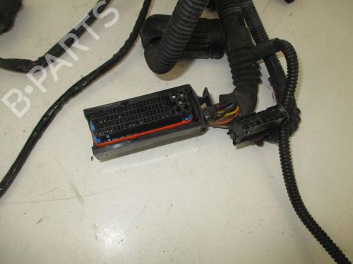 Wiring harness MINI MINI (R50, R53) One | BP18806602E16 
