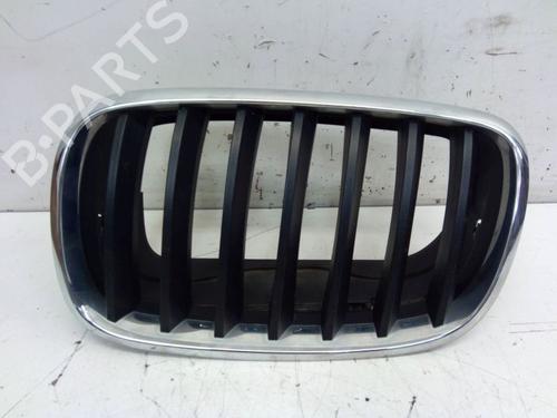 Used Grille BMW X5 (E70) xDrive 30 i (272 hp) 29102883