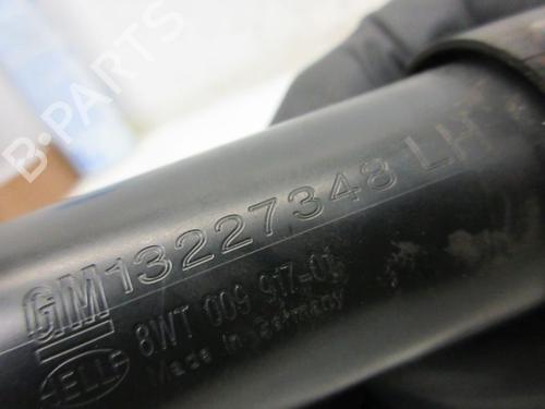 Washer pump OPEL INSIGNIA A Sports Tourer (G09) 2.0 CDTI (35) | BP29096664E24 