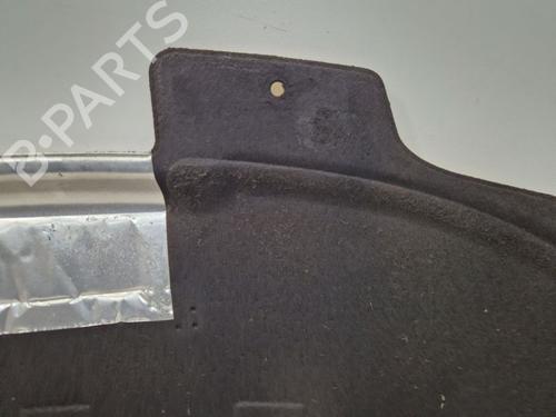Hood PEUGEOT 207 CC (WD_) 1.6 16V | BP29702757C1 