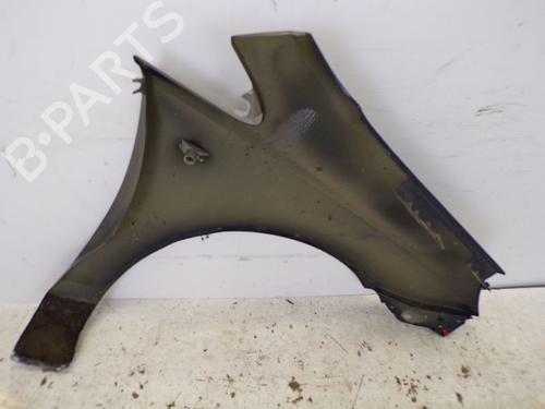 Left front fenders OPEL CORSA D (S07) 1.4 (L08, L68) | BP19636915C41 