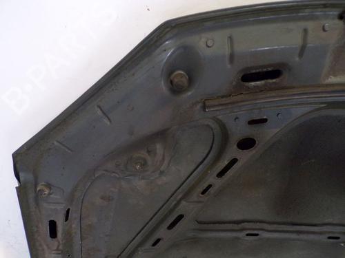 Hood VW GOLF V (1K1) 1.6 | BP29097333C1 
