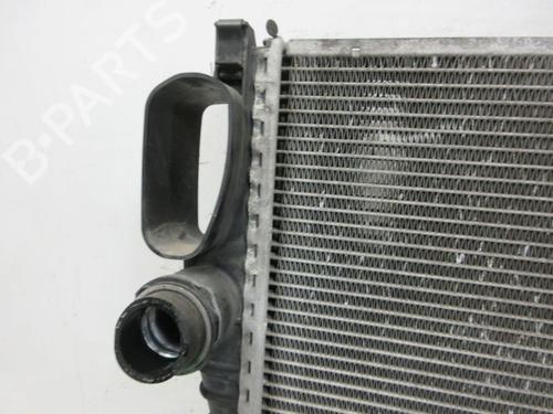 Water radiator MERCEDES-BENZ E-CLASS (W211) E 220 CDI (211.006) | BP29093840M31 