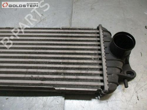 Intercooler NISSAN PRIMASTAR Bus (X83) dCi 80 | BP37094852M30 - Image 3