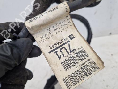 Cable OPEL MERIVA B MPV (S10) 1.4 (75) | BP30184438E12