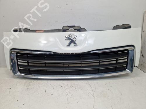 Used Grille Grille 37142005 37142005