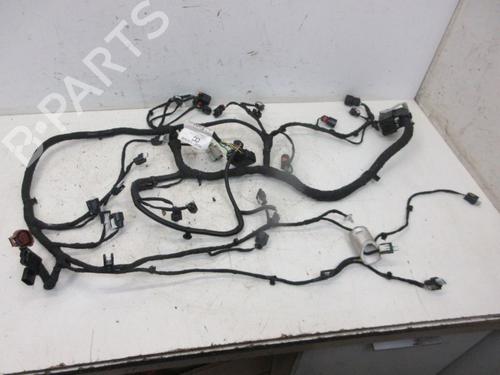 Used Wiring harness FORD FIESTA VII (HJ, HF) 1.5 ST EcoBoost (200 hp) 22370894