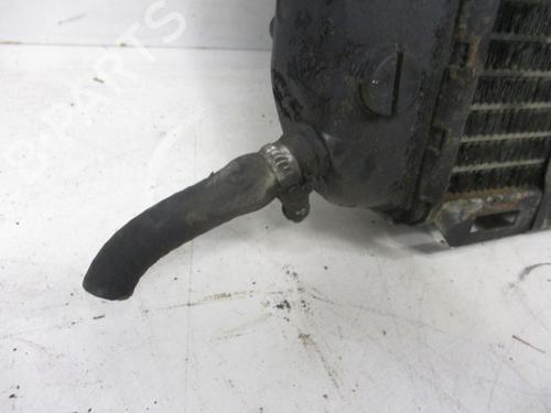 Køler FIAT DUCATO Bus (230_) 2.5 D Combinato | BP28306902M31 