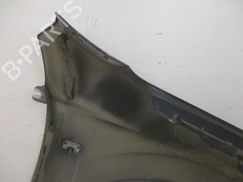 Left front fenders NISSAN QASHQAI I (J10, NJ10) 1.5 dCi | BP21774671C41 