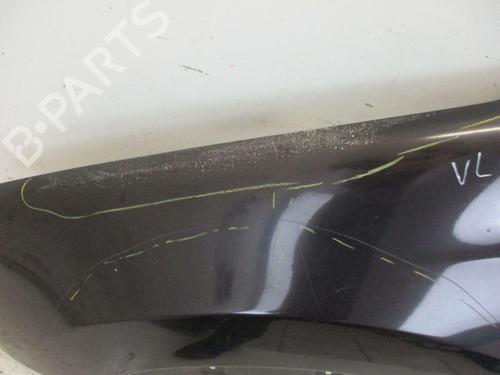 Left front fenders NISSAN QASHQAI I (J10, NJ10) 1.5 dCi | BP21774671C41 
