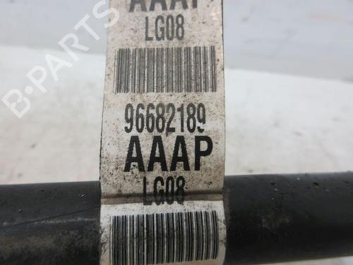 Anti roll bar CHEVROLET SPARK (M300) 1.0 | BP37232868M96 - Image 9