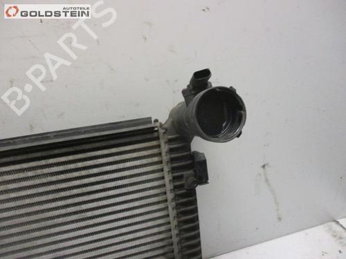 Intercooler SEAT ALTEA XL (5P5, 5P8) 2.0 TDI | BP25825800M30