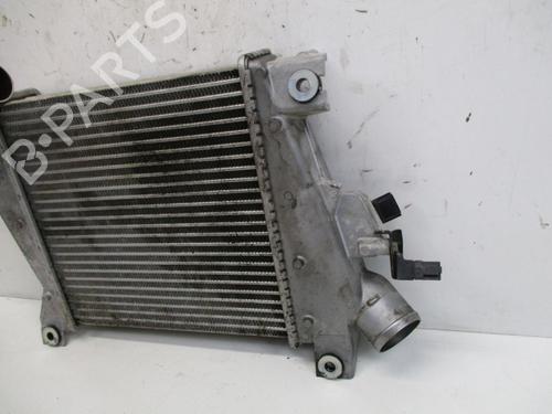 Intercooler NISSAN X-TRAIL I (T30) 2.2 dCi 4x4 | BP18803395M30 