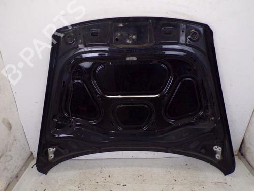 Hood VW TOUAREG (7LA, 7L6, 7L7) 3.2 V6 | BP29091312C1 