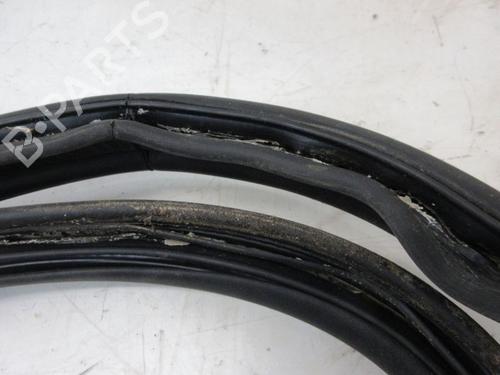 Rubber door seal RENAULT GRAND SCÉNIC III (JZ0/1_) 1.4 16V (JZ0F) | BP29094704C142 